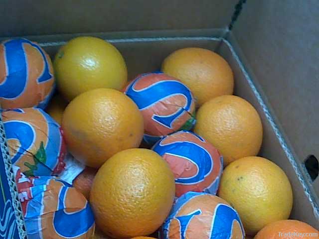 Fresh Egyptian Orange