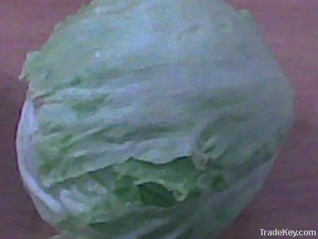 Fresh Egyptian Iceberg Lettuce
