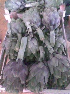 Fresh Egyptian Artichoke