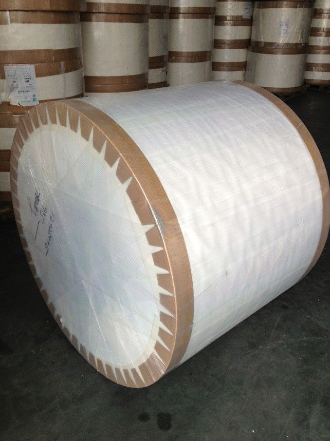 Double PE Coated Paper Board for Beverage Cups in Roll