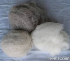 100% Pure Dehaired Cashmere Fiber