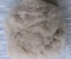 100% Dehaired Light Grey Cashmere Fiber