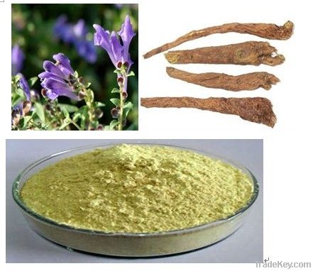 Baicalein 85%/Radix Scutellariae Extract