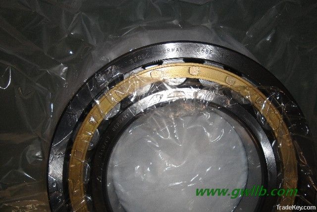 Cylindrical Roller Bearings