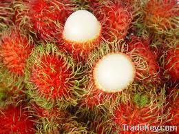 Rambutan