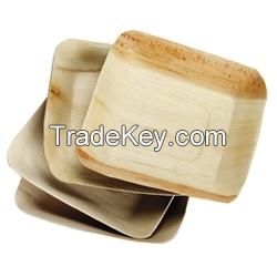 Palm Leaf Dinnerware