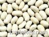 Japan white kidney bean