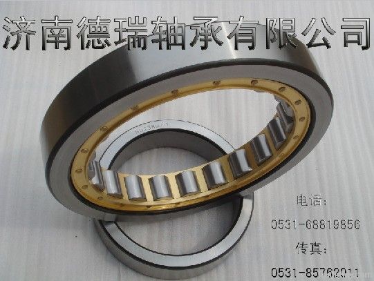 cylindrical  roller bearing