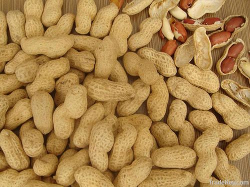 peanut kernels