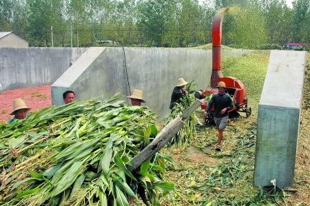 biomass straw crusher