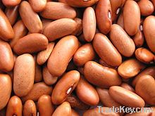 Kidney Beans