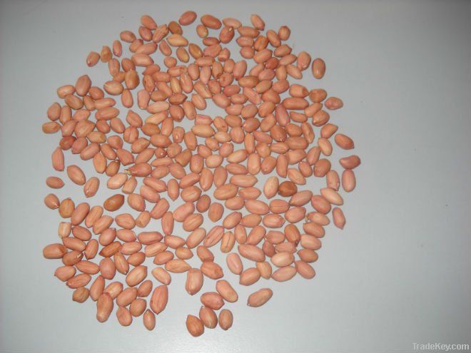 DRY RED PEANUTS