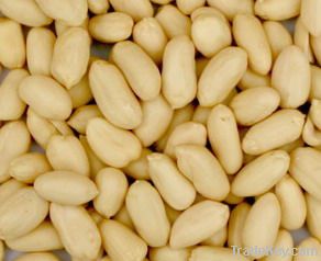 Peanut Kernels