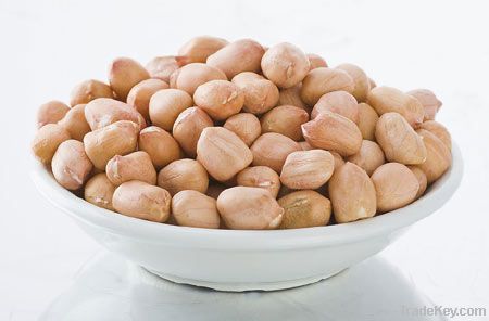 Peanut Kernels