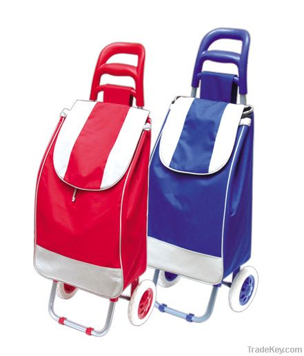 Shopping trolley bag