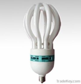 energy saving lamp