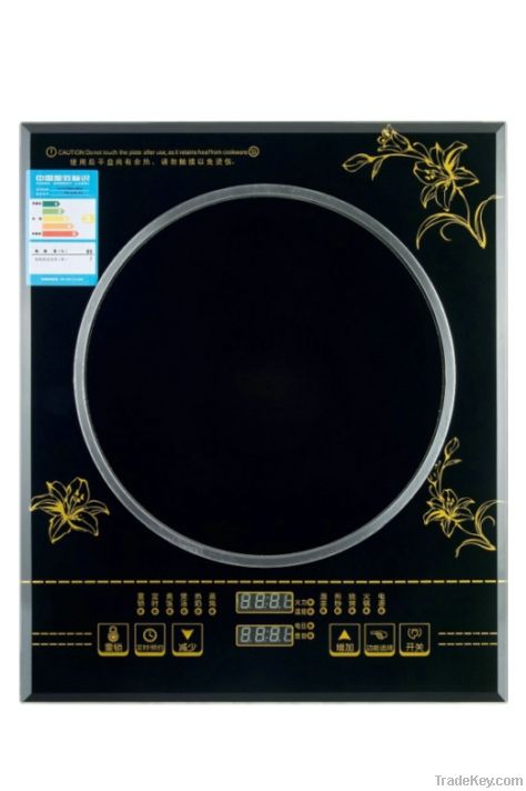 induction cooker with 1600W , 88 to 270V