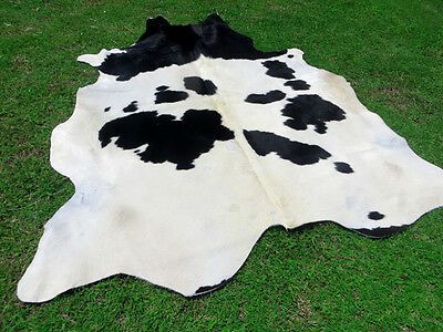 Dry and Wet Salted Donkey / Horse Hides / Wet Cow Hides