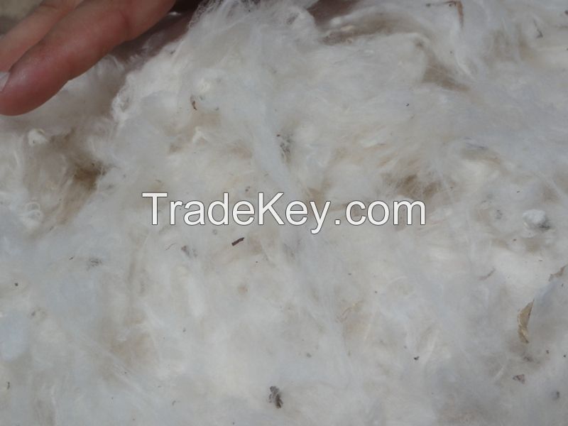 Raw Cotton, Cotton Waste 