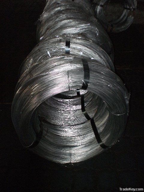 Galvanized Iron Wire