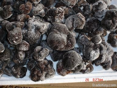 black truffle IQF