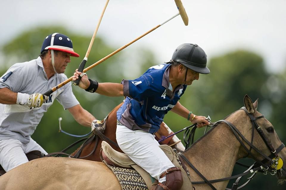 polo helmet