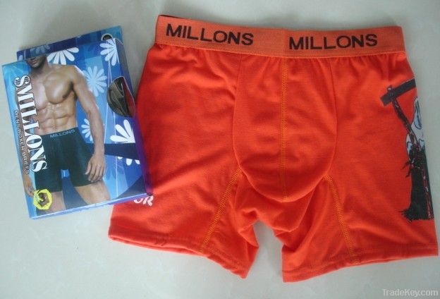 Men's boxer briefs, panties, underwear, innerwear