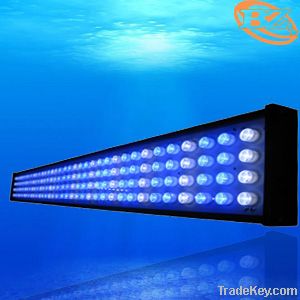 Cree 300W Dimmable Led aquarium Light