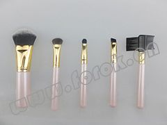 5pcs Professional Cosmetic Brush Set BS08055