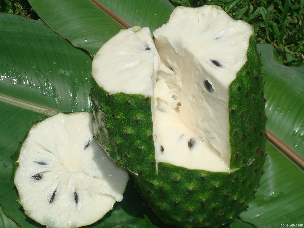 Soursop Frozen Pulp