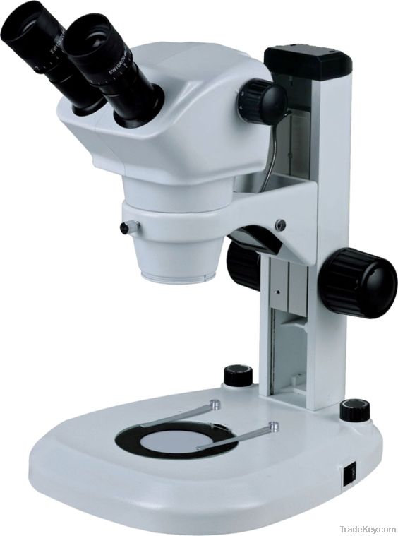 Stereo Microscope