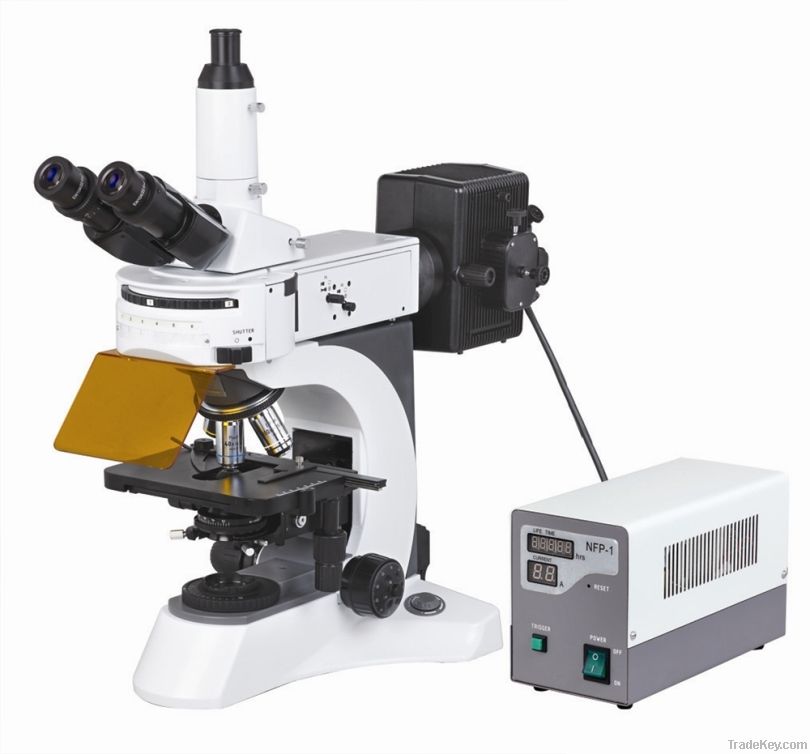 Upright Fluorescent Biological Microscope