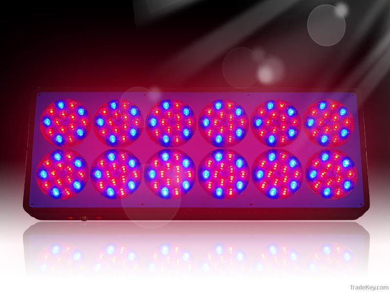 580W LED Grow Light