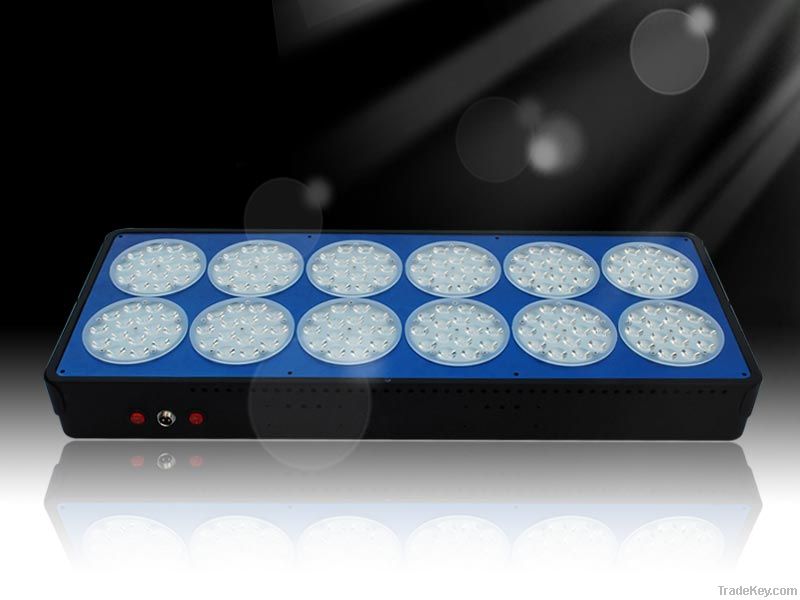 580W LED Grow Light