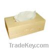 Tissue Box With Tilde Hole