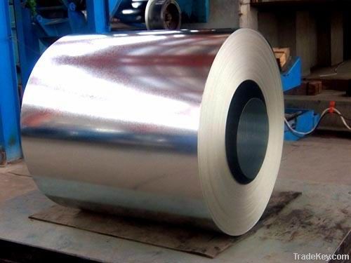 Galvanized steel sheet