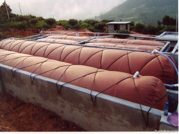 biogas product(OEM, more than 15years' use life, finished in 2 days, ligh