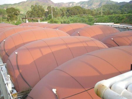 biogas product(OEM, more than 15years' use life, finished in 2 days, ligh