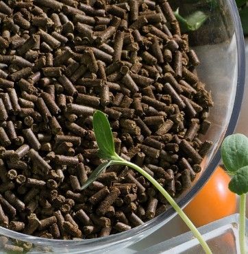 Tea Seed Pellet