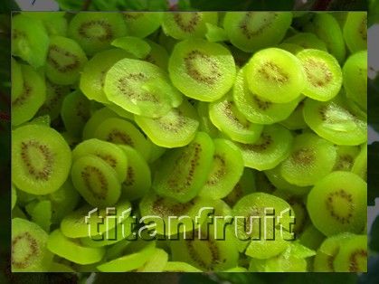 Dried Kiwifruit