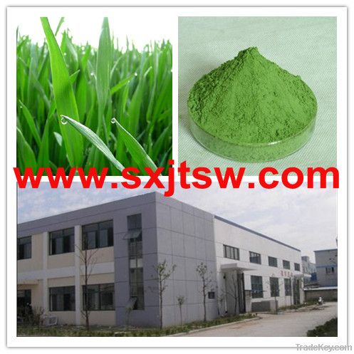 wheatgrass extract
