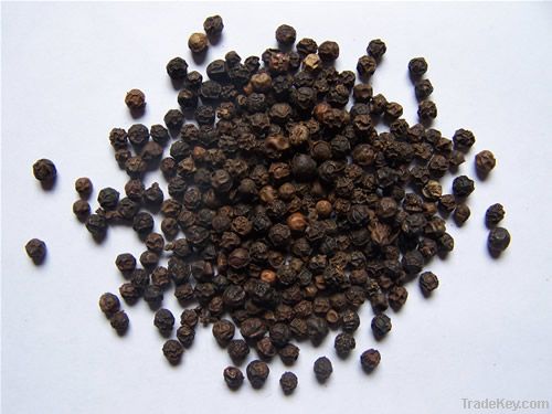 black peper P.E. 98% extracts manufacturer