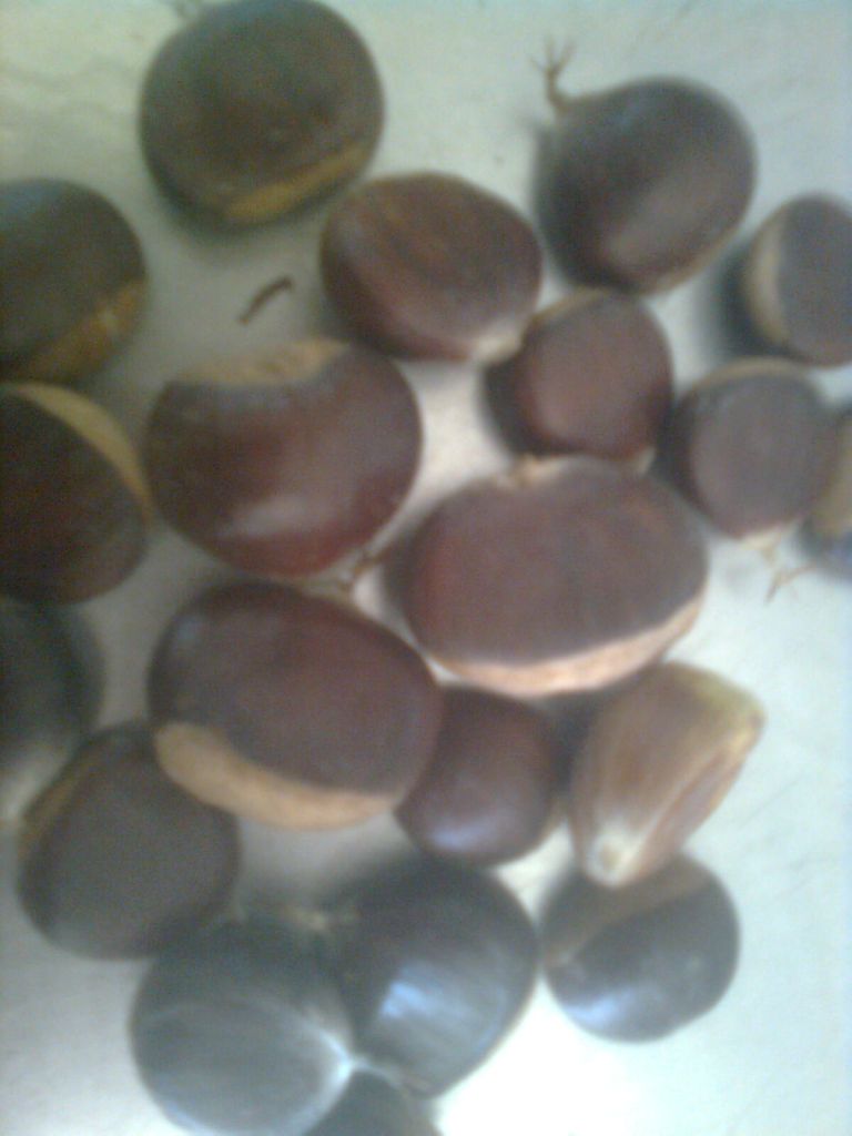  chestnuts