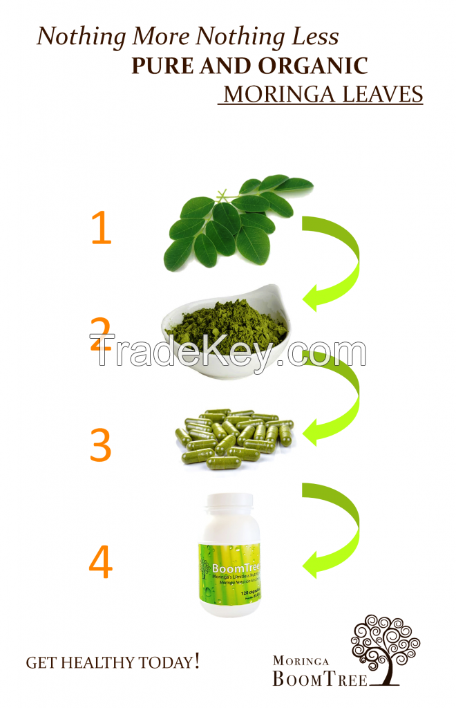 Moringa Leaf Powder Capsules