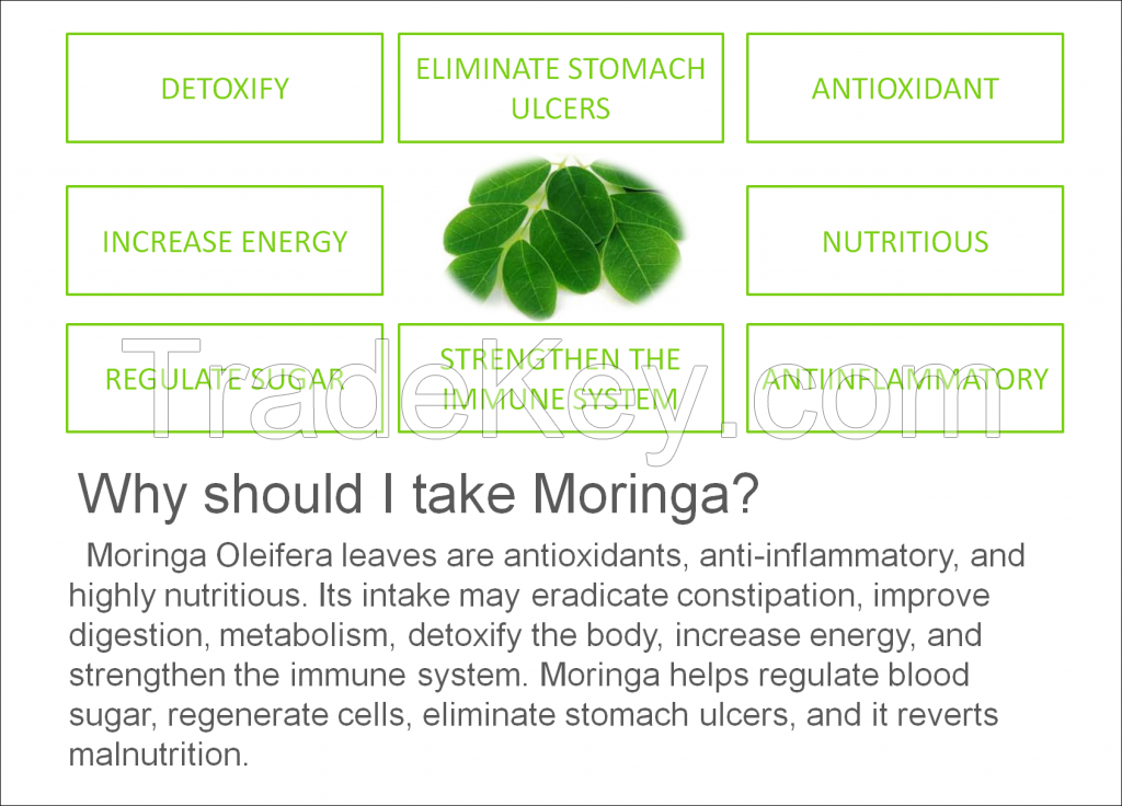 Moringa Leaf Powder Capsules