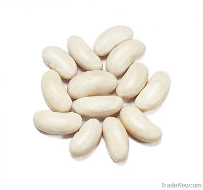 WHITE KIDNEY BEANS