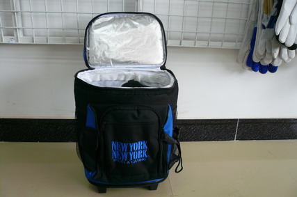 cooler bag