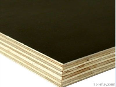 1220*2440mm Packing & Furniture & Decoration plywood