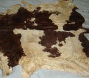 Wetsalted cattle hides