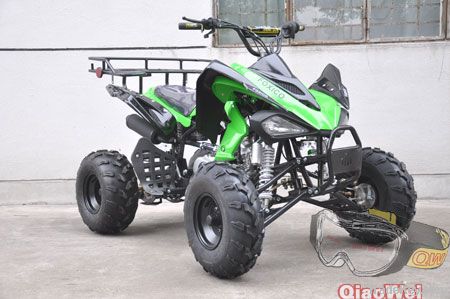 125cc/150cc/250cc atv for field work(QW-ATV-08)